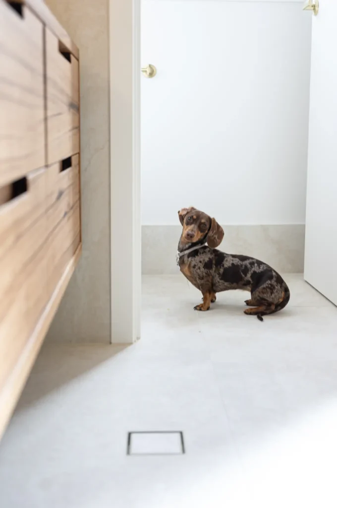 Pelican Court — Bathroom project photo — Port Lincoln Tiles & Pavers